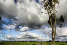 3377体育：比赛集锦：西班牙3-3荷兰（点球5-4，两回合总比分10-9）.