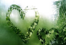 3377体育：官方：安切洛蒂获得意大利足协金板凳奖特别奖.