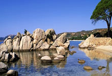 3377体育:瓜帅:别再说曼城的困境归因于伤病了,过去的冠.